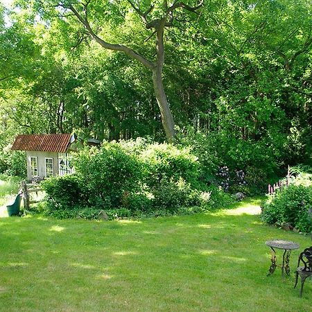 Apartamento Alte Schule Osteroden Merzen Exterior foto